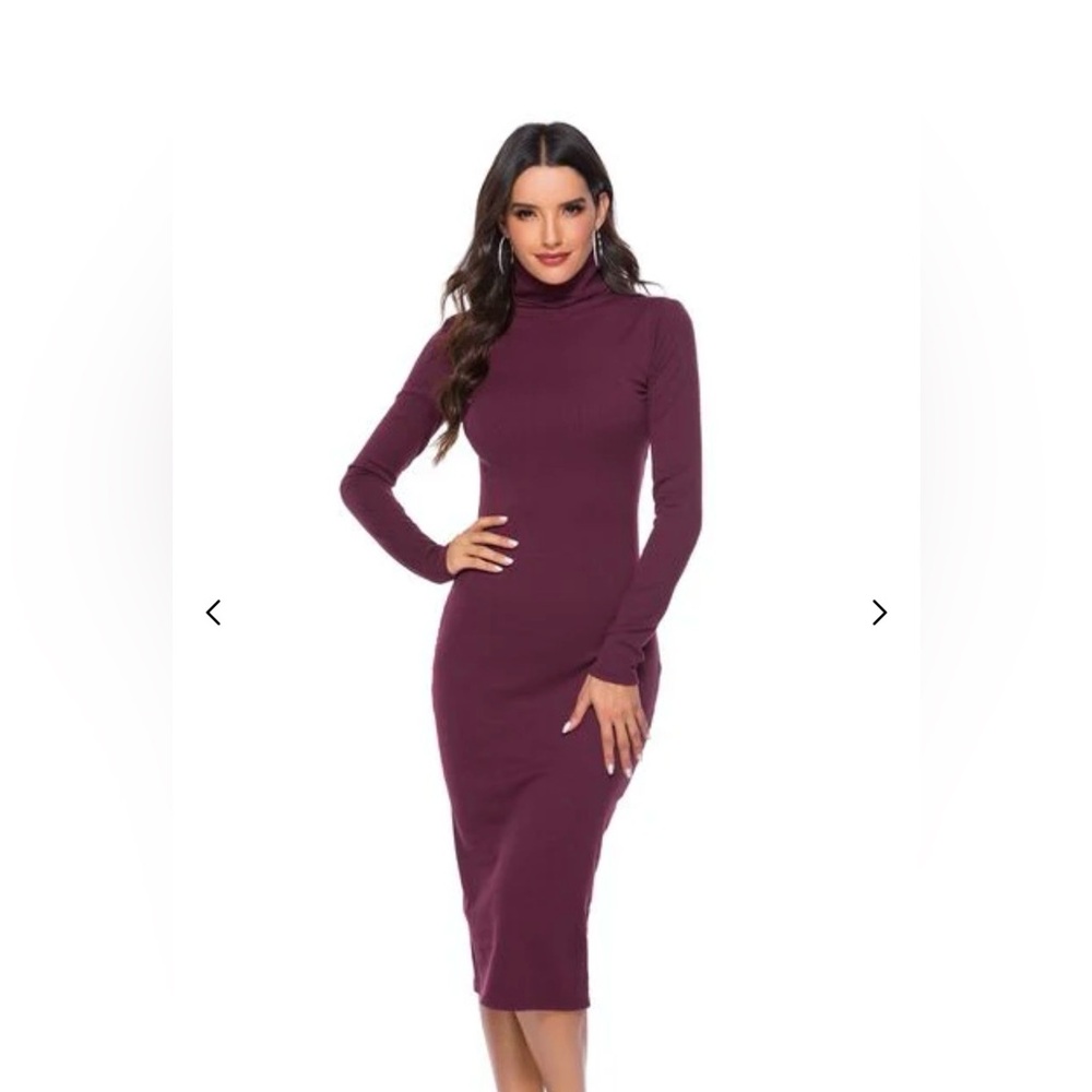 American Apparel Deep stretch turtle neck maroon Long Sleeve Dress